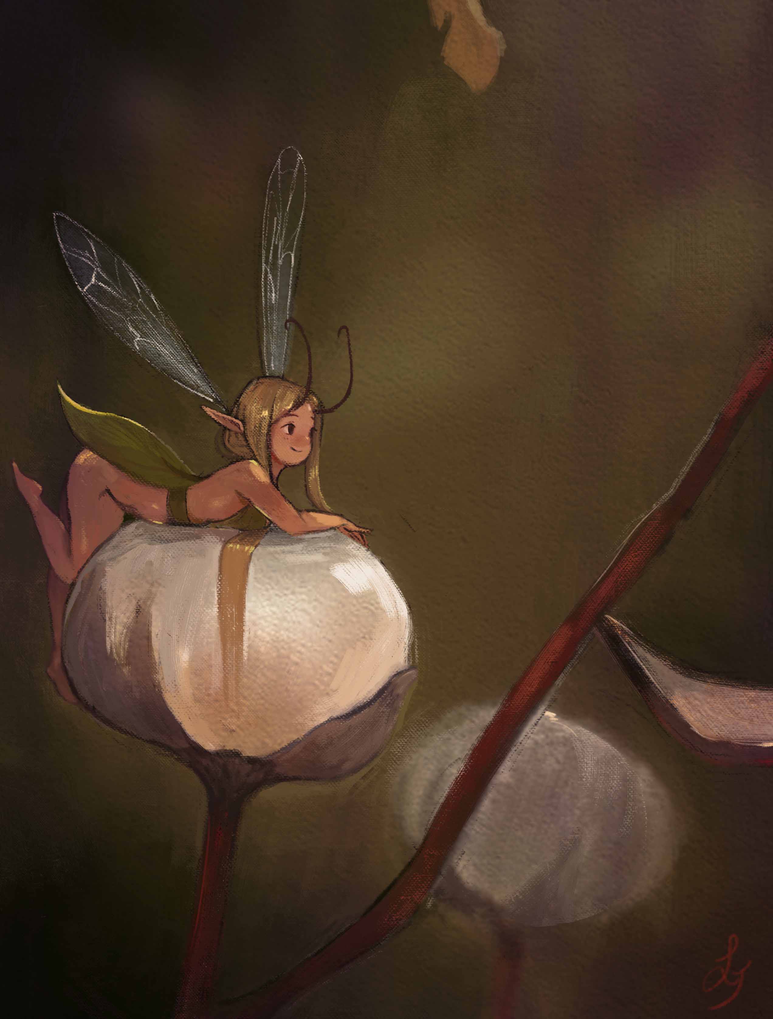 Illustration d’une minuscule fée sur une fleur de coton